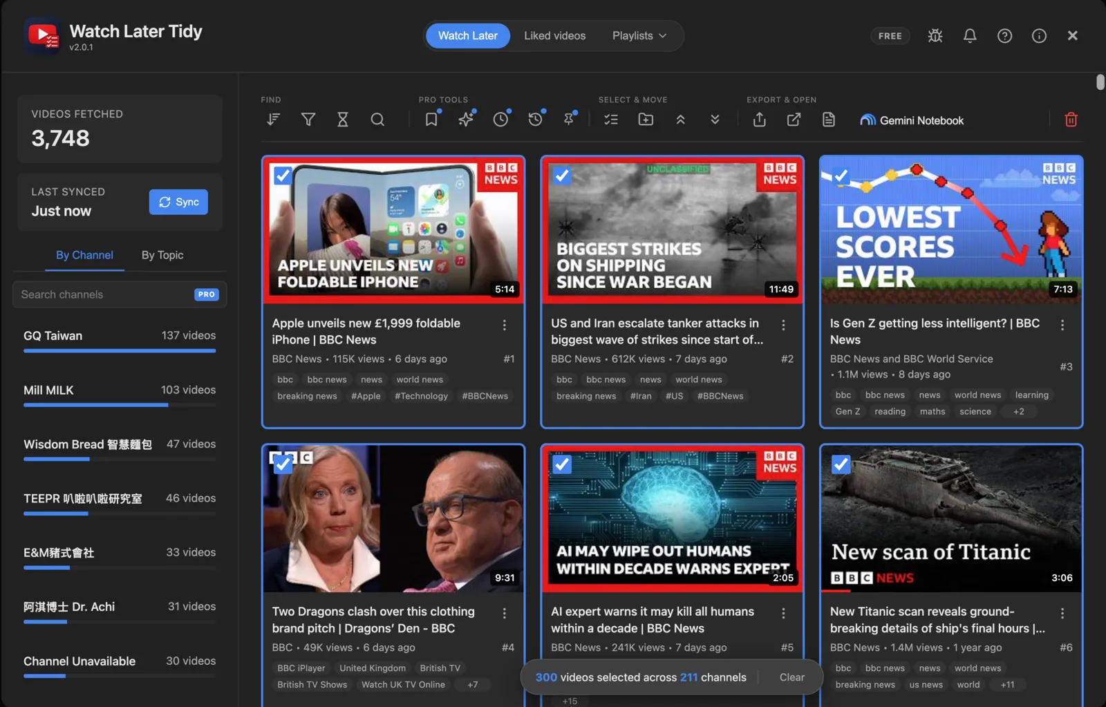 Watch Later Tidy's dashboard with 300 videos ticked across 211 channels: the channel list on the left, a toolbar with filter, search and a red delete button, and a grid of ticked video cards.